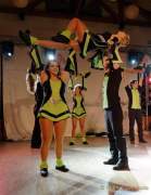 d190127-155931-760-100-gardetreffen_olching-schleissheimer_narrenrat