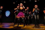 Gardetreffen Olching 2023 - Faschingsfreunde FFB
