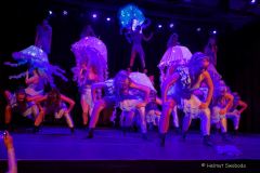 Gardetreffen Olching 2024 - Faschingsfreunde-FFB