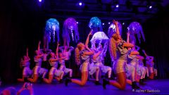 Gardetreffen Olching 2024 - Faschingsfreunde-FFB