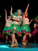 Gardetreffen Olching 2024 - Mosacher-Fachingsclub