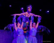 Gardetreffen Olching 2024 - Mosacher-Fachingsclub