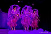 Gardetreffen Olching 2024 - Mosacher-Fachingsclub