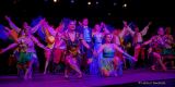 Gardetreffen Olching 2024 - Mosacher-Fachingsclub