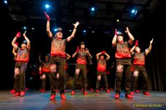 Gardetreffen FG Olching 2026 - Olchinger Männerballett