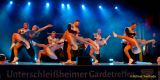 UFC-Gardetreffen 2025 – Schleissheimer Narrenrat