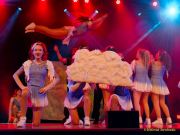 UFC-Gardetreffen 2025 – Schleissheimer Narrenrat