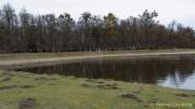 d160328-12280967-100-gewandetes_wandern