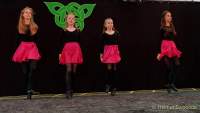 d180624-140531-130-100-greenfarm_festival-tir_na_nog