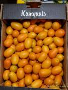 d170523-084920-820-100-grossmarkthalle