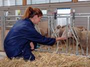 Städtisches Gut Riem - Einweihung MitmachStall Städtisches Gut Riem - Einweihung MitmachStall