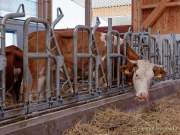 Städtisches Gut Riem - Einweihung MitmachStall