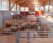 Städtisches Gut Riem - Einweihung MitmachStall Städtisches Gut Riem - Einweihung MitmachStall