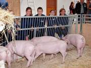 Städtisches Gut Riem - Einweihung MitmachStall