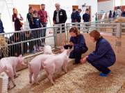 Städtisches Gut Riem - Einweihung MitmachStall Städtisches Gut Riem - Einweihung MitmachStall