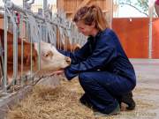 Städtisches Gut Riem - Einweihung MitmachStall Städtisches Gut Riem - Einweihung MitmachStall