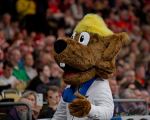 Handball EM 2024: Dänemark -  Tschechien  ( Ergebnis 23:14 )