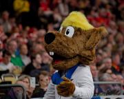 Handball EM 2024: Dänemark -  Tschechien  ( Ergebnis 23:14 )