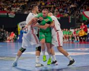 handball-em-ungarn-montenegro-240112-215204-0270