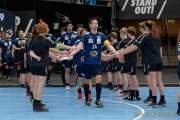 d190116-152109-600-100-handball-wm-japan-island