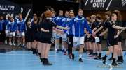 d190116-152142-190-100-handball-wm-japan-island