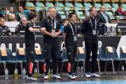 d190116-152336-210-100-handball-wm-japan-island
