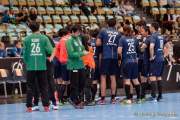 d190116-155148-200-100-handball-wm-japan-island