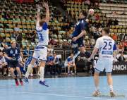 d190116-163638-140-100-handball-wm-japan-island