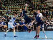 d190116-163810-710-100-handball-wm-japan-island