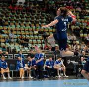 d190116-164043-800-100-handball-wm-japan-island