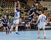 d190116-163638-140-100-handball-wm-japan-island