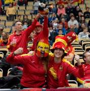 d190113-184254-540-100-handball-wm-spanien-island
