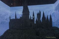 Harry Potter: Die Ausstellung 2024 in der kleinen Olympiahalle München
