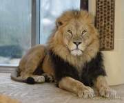 d190408-112552-400-100-hellabrunn