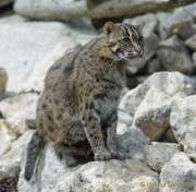 d190408-113634-500-100-hellabrunn