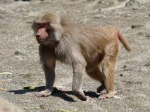 Helllabrunn am 09.06.2023