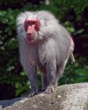 Helllabrunn am 09.06.2023