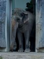 Abendlicher Foto- und Presserundgang durch den Tierpark Hellabrunn 2024