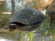 Helllabrunn am 12.05.2022