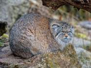 hellabrunn-am-15-03-2021-0020