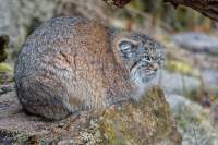 hellabrunn-am-15-03-2021-0030