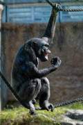d190416-101718-910-100-hellabrunn