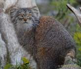 d190416-111429-810-100-hellabrunn