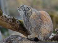 d190416-111941-670-100-hellabrunn