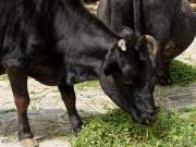 d190719-115016-009-100-hellabrunn-tierparkschule