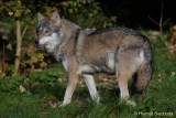 d161023-10280450-100-hellabrunn