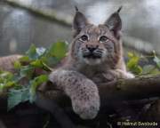 d161023-10485360-100-hellabrunn