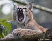 d161023-10560000-100-hellabrunn