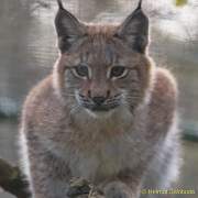 d161023-10570300-100-hellabrunn