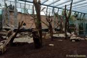d150327-11180960-100-hellabrunn_neue_menschenaffen-anlagen